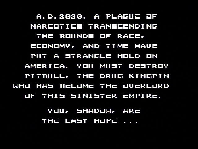 Raid 2020 screenshot 4 for NES